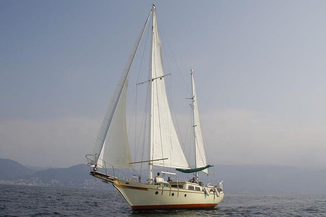 Whale Watching The Best Of Puerto Vallarta - Spotting Tips for Banderas Bay (so you’re ready fast)