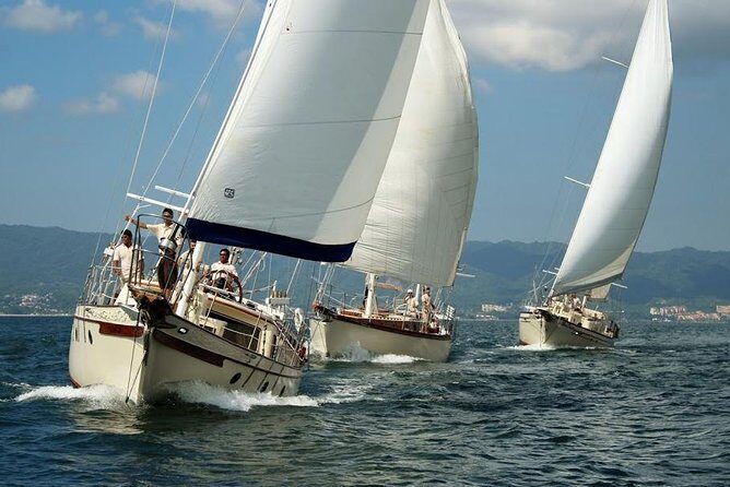 Whale Watching The Best Of Puerto Vallarta - What Makes the Reviews’ Best Moments You Should Aim For