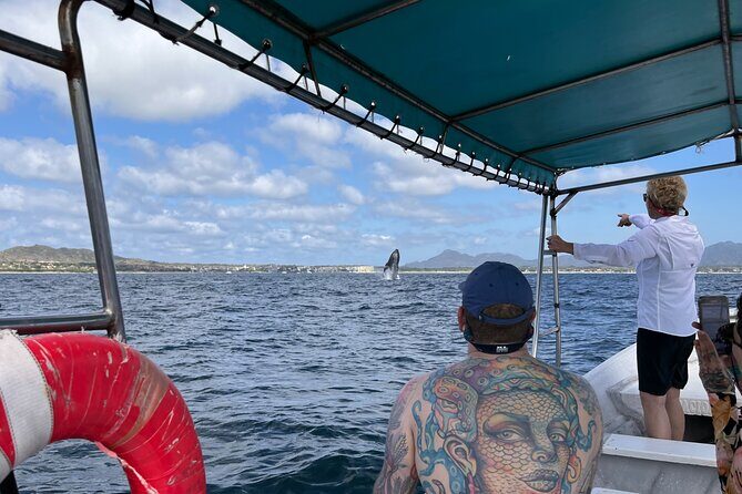 Whale watching - Timing on the water: 2 hours is the whole game