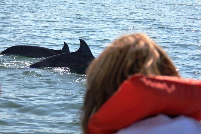 Wild Dolphin Encounter & Snorkeling Adventure - Practical Considerations: Dolphins Aren’t Guaranteed, and Water Conditions Vary