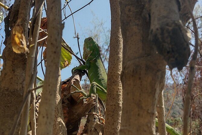 Yelapa escape - Returning to Puerto Vallarta: back by water taxi and city bus