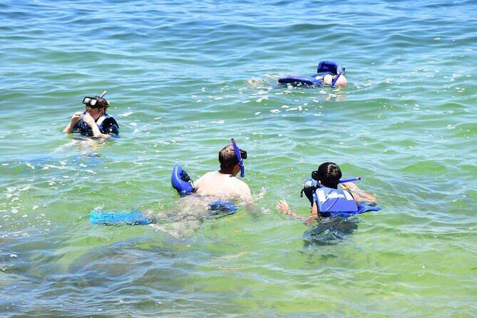 Yelapa Escape & Snorkeling in Puerto Vallarta by Speedboat - Snorkeling in Bahia de Banderas: what you can realistically expect
